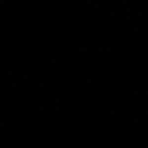 Meet your Posher, Antonia